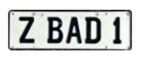 ZBAD1 logo