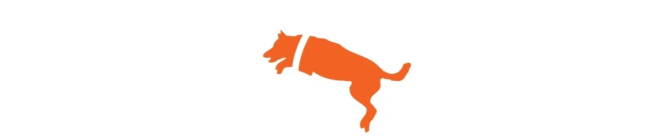 Zoom Room Dog Training logo