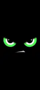 Jack123550