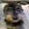 User's avatar