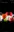 Playwind's avatar