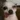 verifier_983798000's avatar