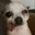 verifier_983798000's avatar