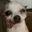 User's avatar
