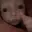 Focus_123's avatar