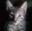User's avatar