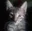 User's avatar