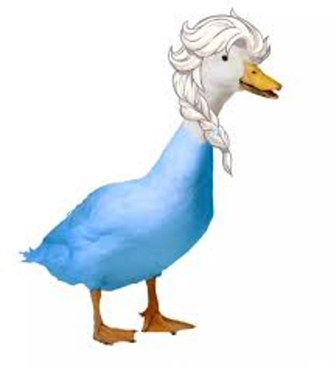 Araujo