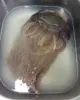 LAPELUCASUCIA