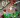 ENGP2105's avatar