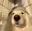 XINNNN's avatar
