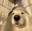 XINNNN's avatar