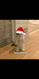 Marie_99