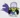 CleverNavigator1236's avatar