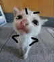 Big_smoke