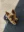 BonusShopper4099's avatar