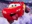 TreasureWarden457's avatar