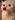 MaddieKitty's avatar