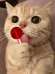 MaddieKitty