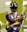 User's avatar