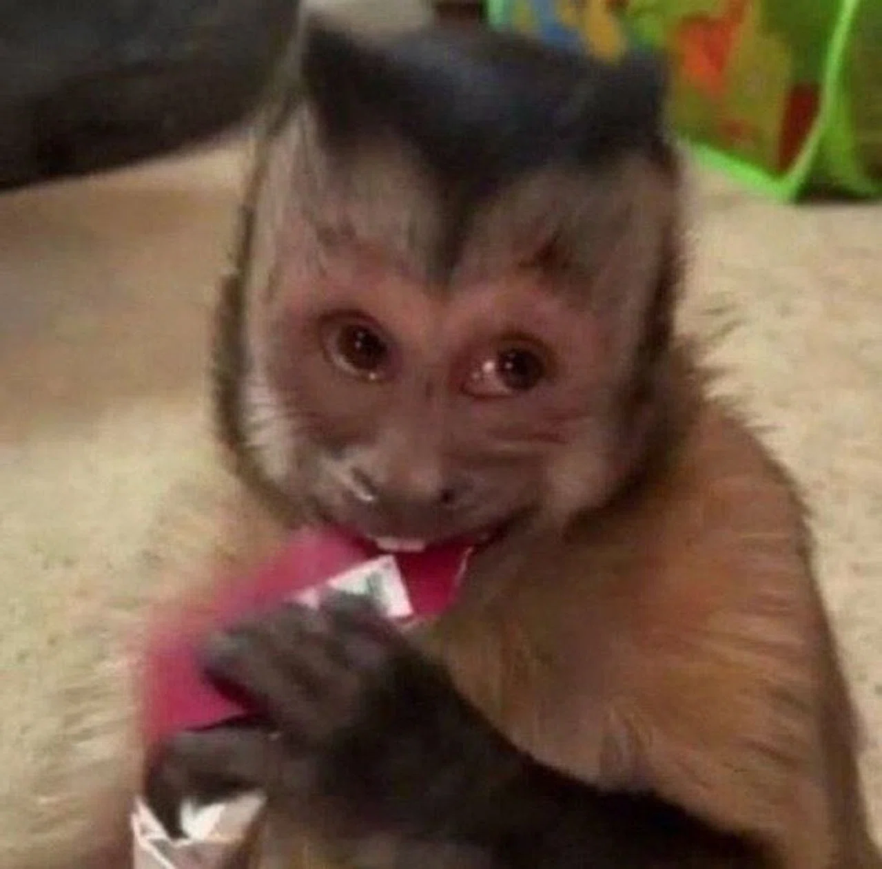 aaaaaaaaaaaaaaa