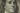 CodeWhiz8342's avatar