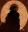 Caraxes's avatar