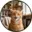 INSOLATION's avatar