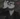 ElPelao's avatar