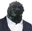 User's avatar