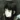 1323535's avatar