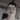 MightySpotter1348's avatar