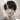KimDokja's avatar
