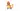 Charmander's avatar