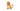 Charmander's avatar