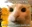 RayliMC's avatar