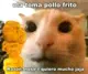 RayliMC