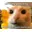 RayliMC's avatar