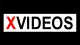Xvideos