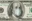 TokenNavigator8970's avatar