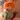 MimusukyNara's avatar