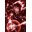 TuAmigoRed's avatar