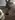 FrugalEagle7432's avatar