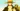 TheJoyBoy's avatar