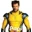 User's avatar