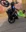 User's avatar