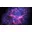 SavingsBoss9912's avatar