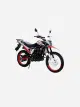 TOROREX250
