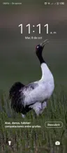 Soyvictor
