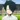 Ray_YNN's avatar